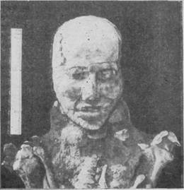 Гипсовая маска на мумии из кургана Новые Мочаги. Раскопки Н. Ю. Кузьмина (1983 г.).