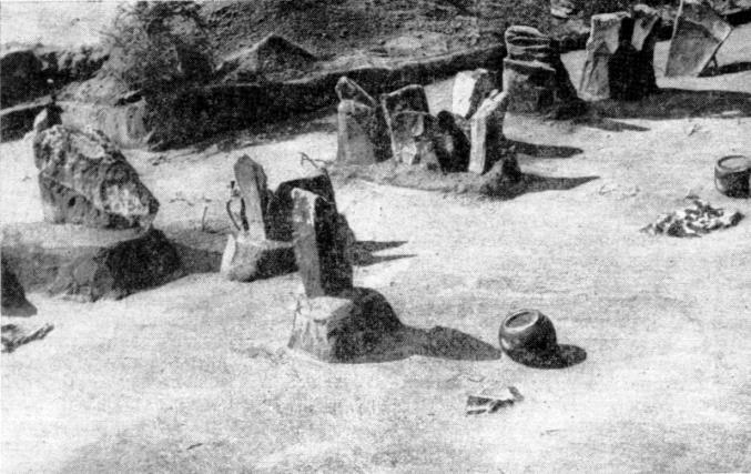 Остатки тризн на таштыкском могильнике Тепсей III